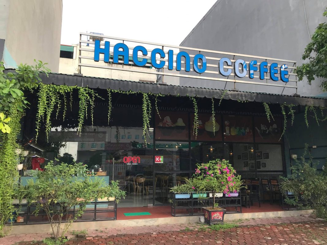 Haccino TP. Việt Trì