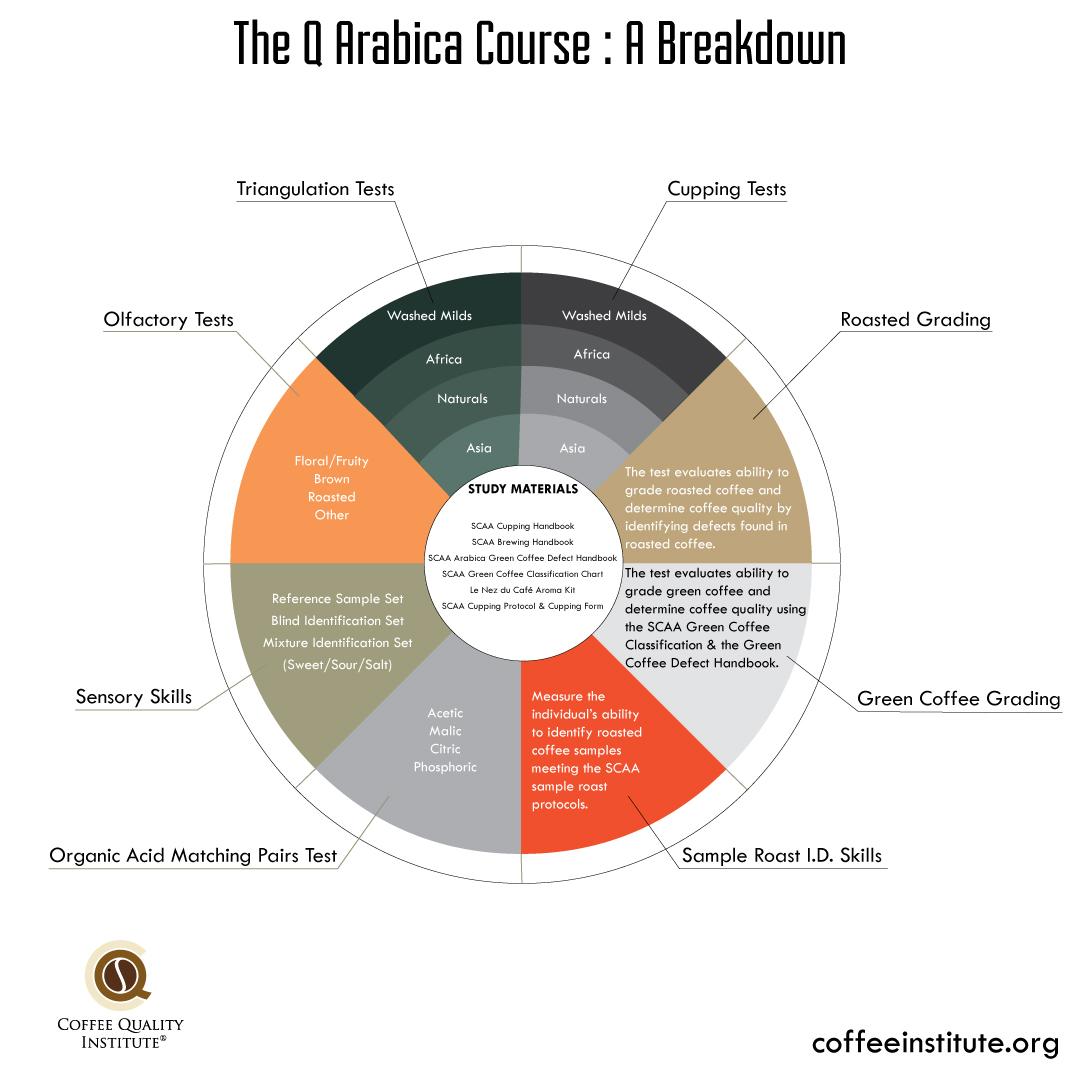 Q-Grader chủ yếu thuộc các công ty xuất nhập khẩu cà phê quy mô lớn, phục vụ cho việc giao dịch cà phê