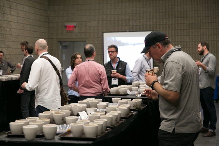 Một quy trình vô cùng chi tiết được xây dựng để thống nhất các yếu tố trong quá trình cupping