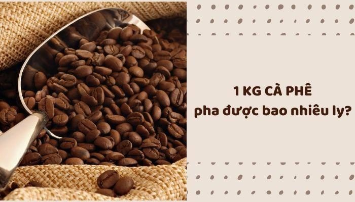 1kg cà phê pha được bao nhiêu ly?