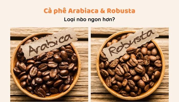 Cà phê Arabica và Robusta, loại nào ngon hơn?